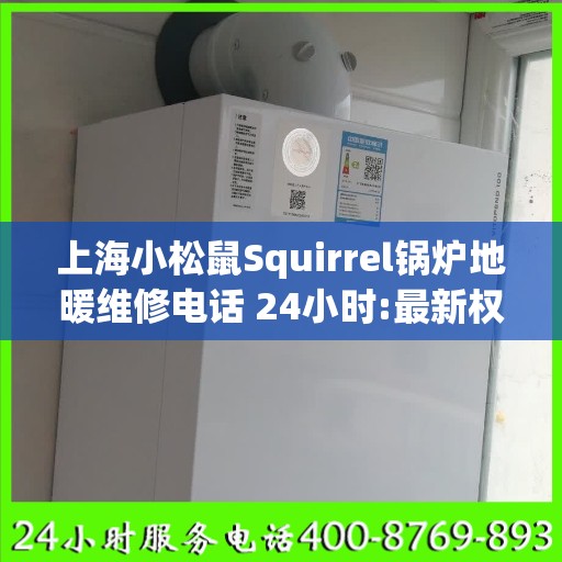 上海小松鼠Squirrel锅炉地暖维修电话 24小时:最新权威推荐