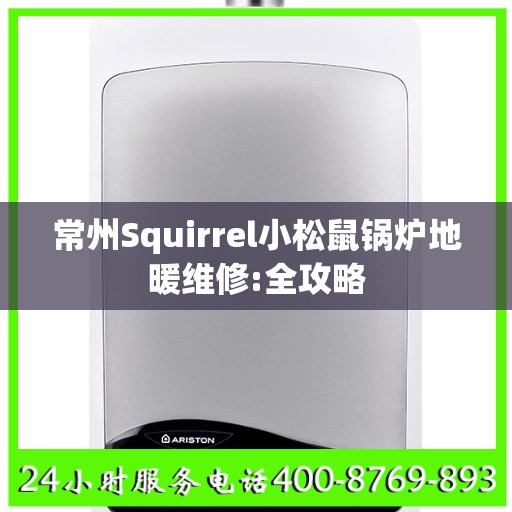 常州Squirrel小松鼠锅炉地暖维修:全攻略