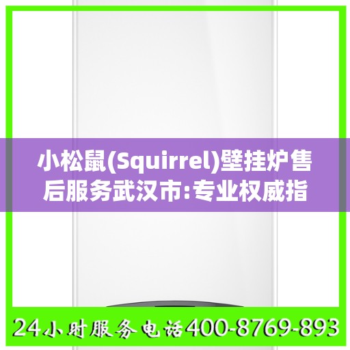 小松鼠(Squirrel)壁挂炉售后服务武汉市:专业权威指南